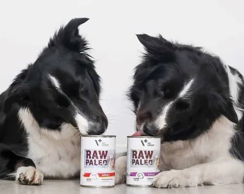 VETEXPERT Raw Paleo Adult Monoprotein Oksekød - vådfoder til hunde - 800 g