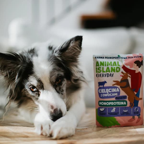 ANIMAL ISLAND Everyday Monoprotein Kalv - våtfoder för hundar - 300 g