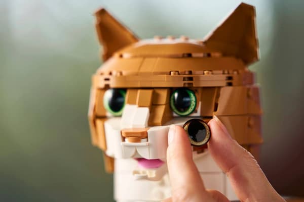 LEGO IDEAS 21376 Orange katt