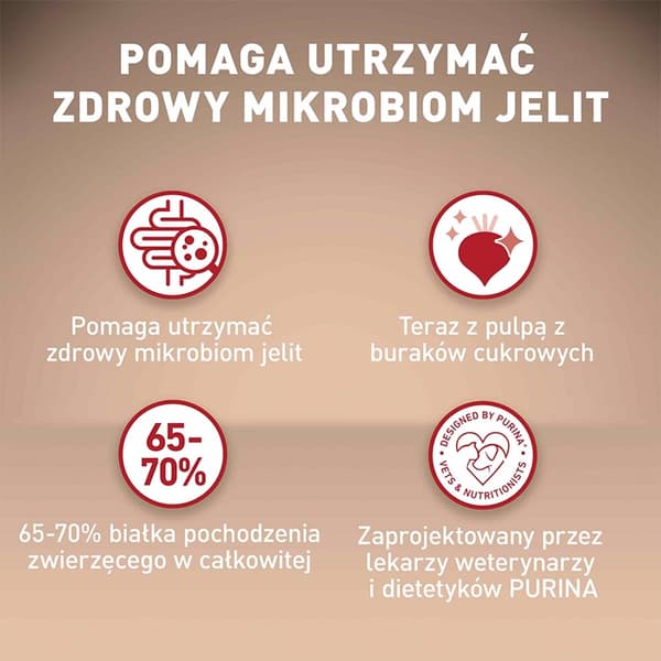 PURINA One Mini/Small Active Rig på kylling med ris - tørfoder til hunde - 800 g