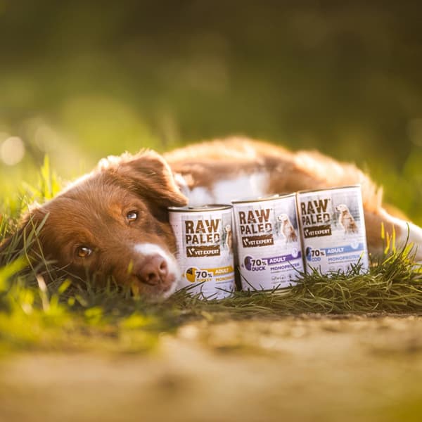 VETEXPERT Raw Paleo Adult Monoprotein And - vådfoder til hunde - 400 g