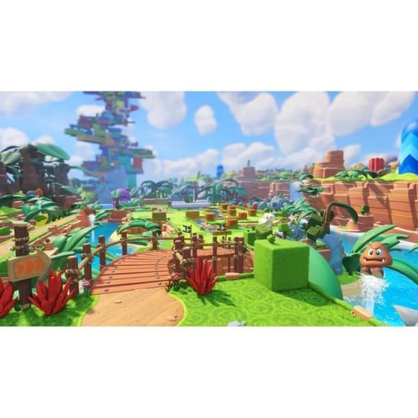 Mario + The Raving Rabbids Kingdom Battle-spil Switch