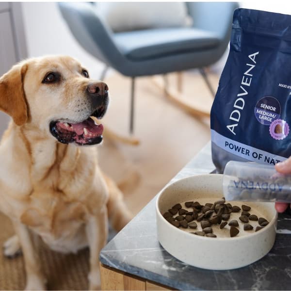 ADDVENA Power of Nature Senior Medium/Large Lam - tørfoder til hunde - 10 kg