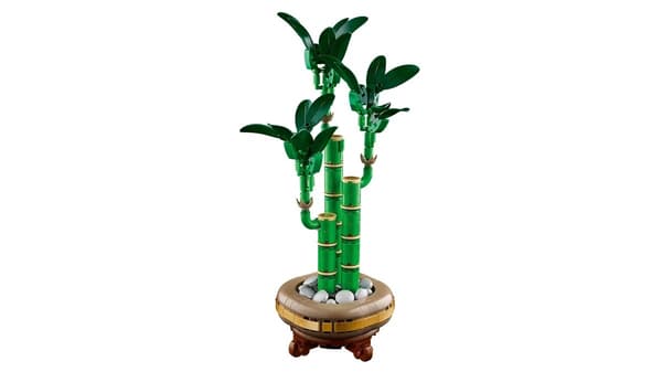 LEGO ICONS 10344 Den Botaniske Samling - Lucky Bamboo