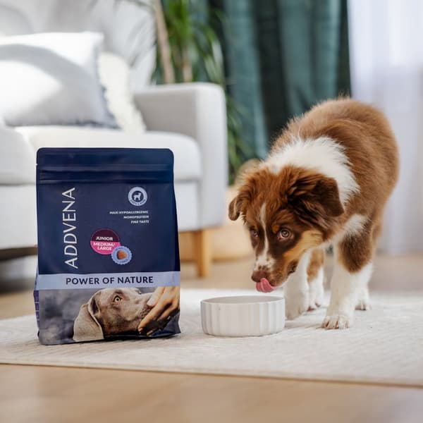 ADDVENA Power of Nature Junior Medium/Stor Lamm - torrfoder för hundar - 10 kg