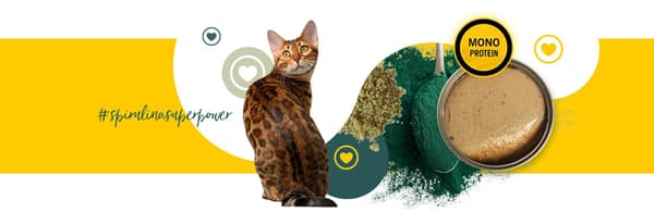 3COTY Kylling med spirulina Senior - vådfoder til katte - 80 g
