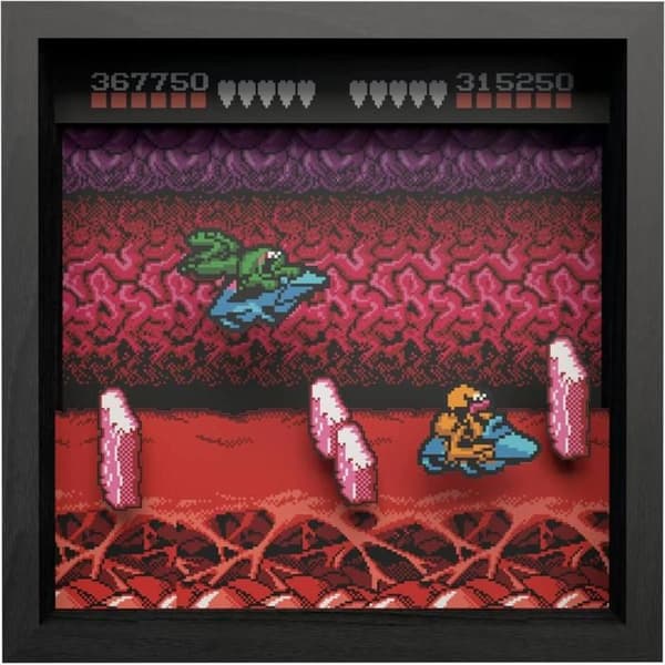 Pixel Frames - Battletoads NES Turbo Tunnel - 23x23 cm