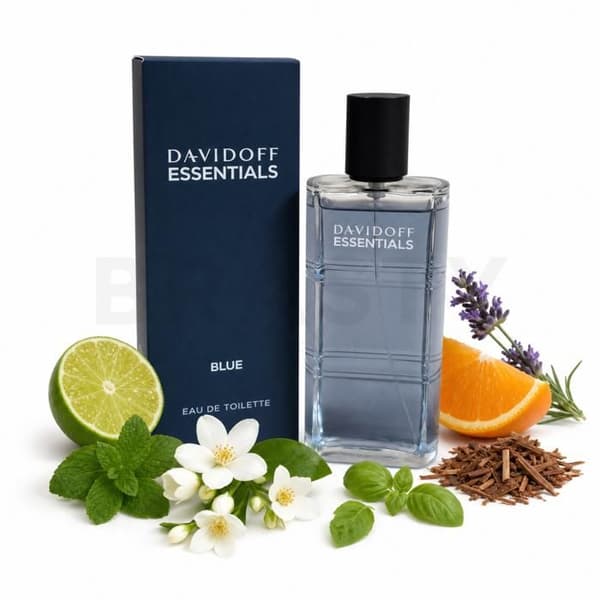 Davidoff Essentials Blue eau de toilette för män 110 ml
