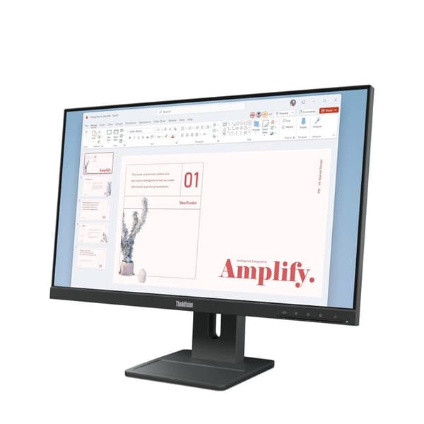Lenovo ThinkVision E24-40 - är