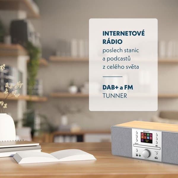 GoGEN IR 267 BT DAB