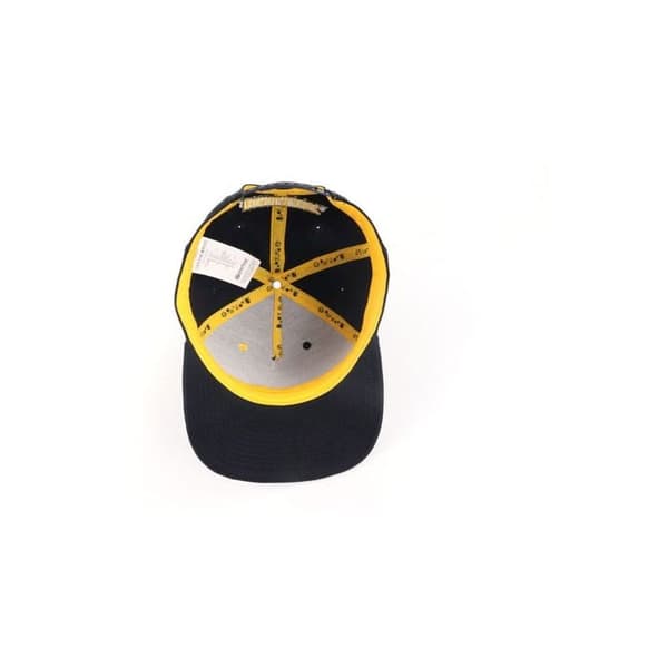 Snapback-keps DEVplus Borderlands Vault Icon Spray