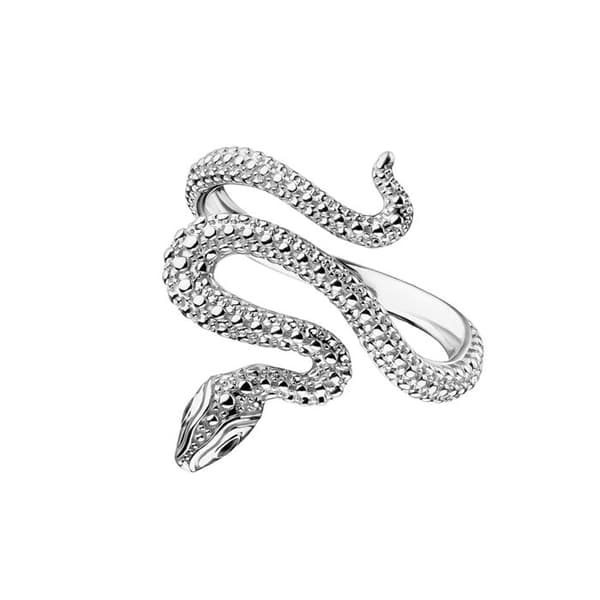Smycke med Silverorm Tempting Romance