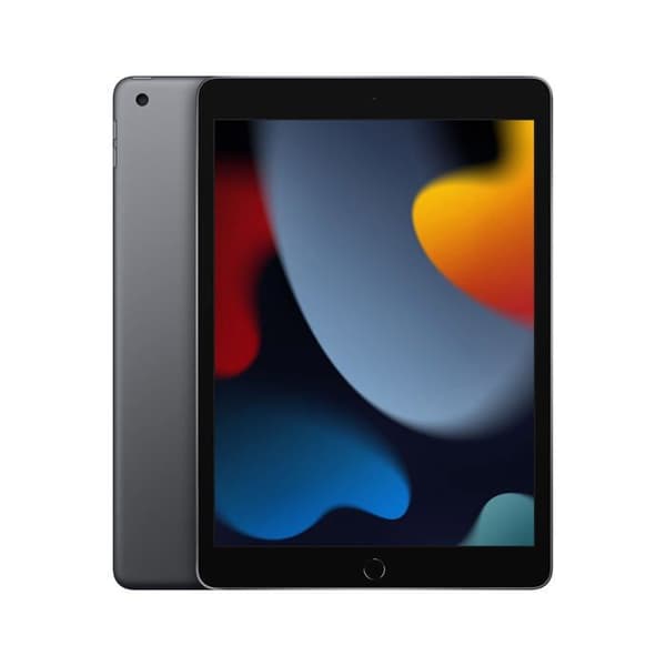 Apple iPad 10,2" 256 GB Grå sidereal Wifi 9:e generationen 2021
