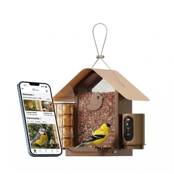 Fuglefoderstation med AI-kamera og solmodul IP66 Birdfy Bronze