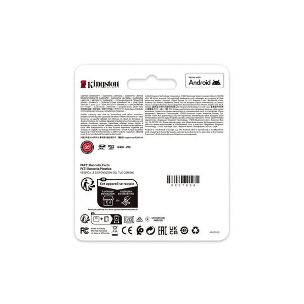 KINGSTON 256GB microSDXC Canva