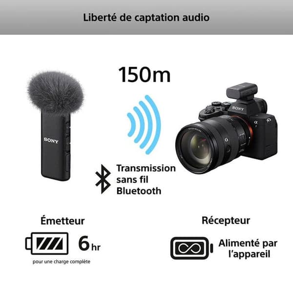 SONY Micro ECM-W3