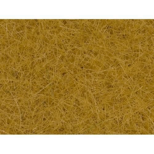 Græsfrø NOCH 0008362 - Beige - 20 g