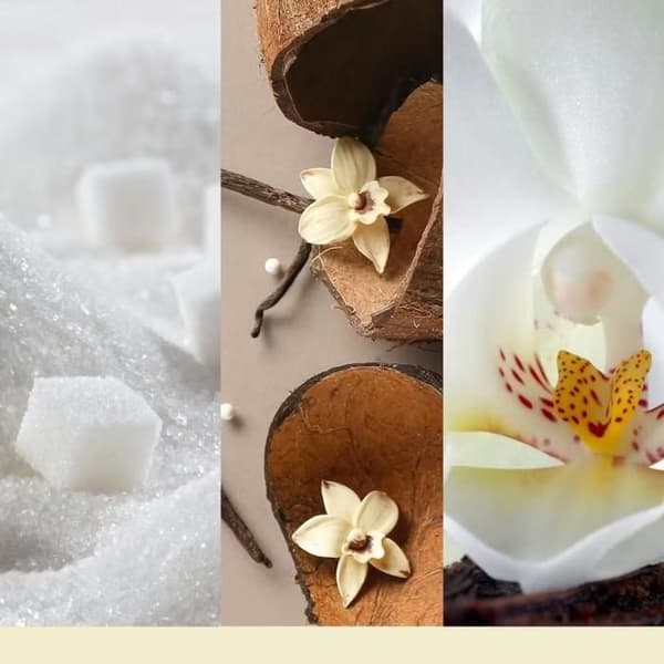 YANKEE CANDLE Giara Medium i glas Vanilla Flurries