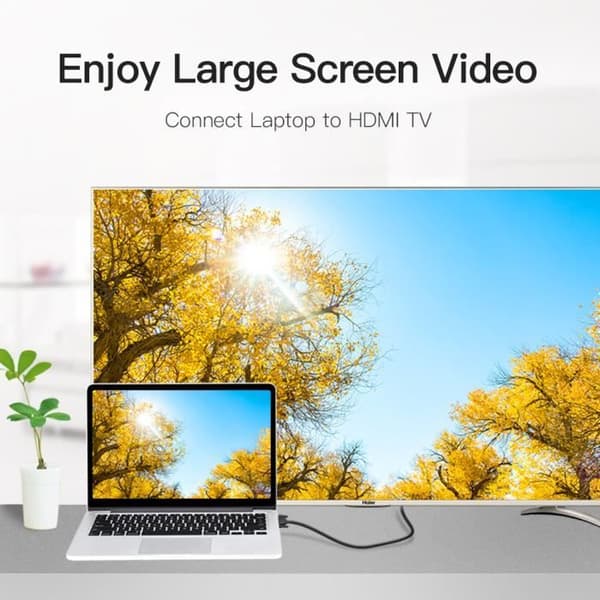 VENTION HDMI till DVI-kabel