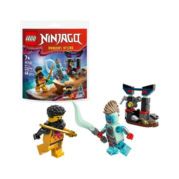 LEGO Ninjago Arins kamp mod Dragonian - 30700