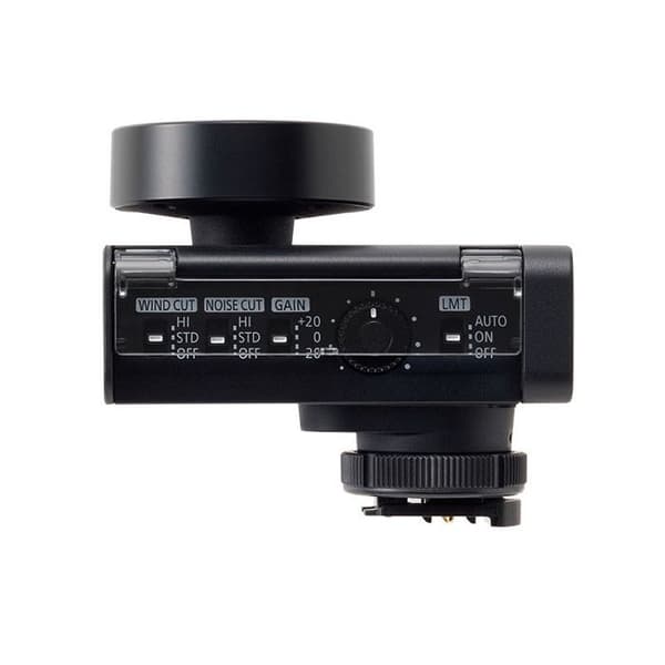 PANASONIC Mikrofon DMW-DMS1