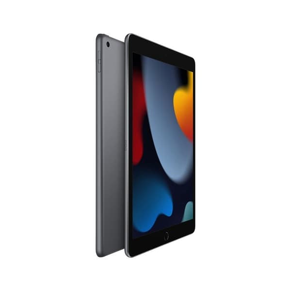 Apple iPad 10,2" 256 GB Grå sidereal Wifi 9:e generationen 2021