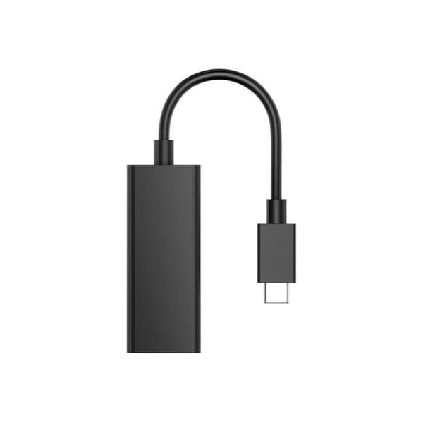 HP G2 - videoadapter - 24"