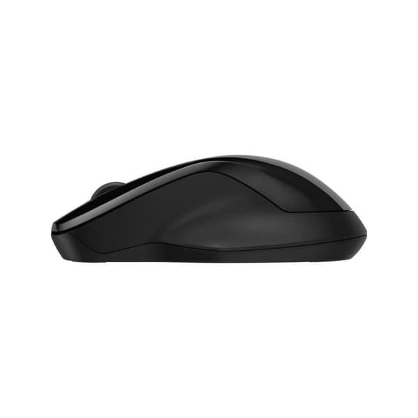 HP 250