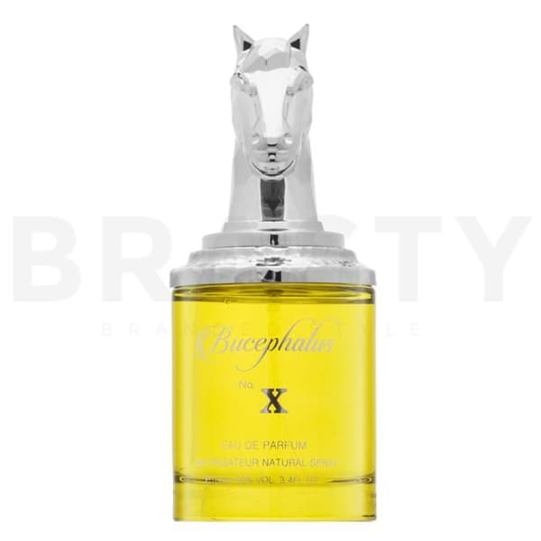Armaf Bucephalus No. X eau de parfum för män 100 ml