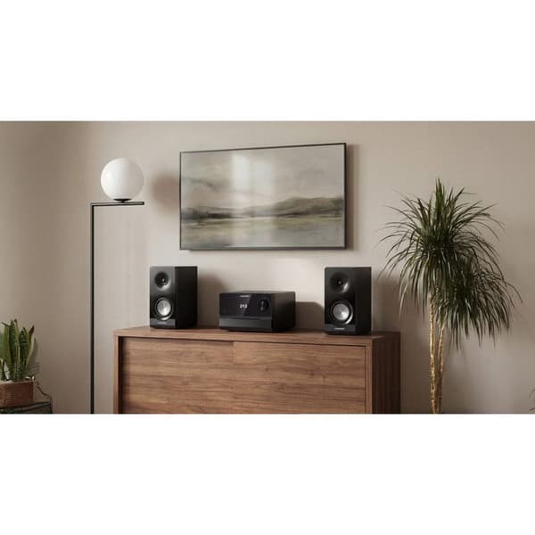 Microchain Blaupunkt MS49DAB 100 W RMS Tuner DAB+