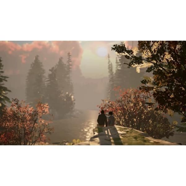 "Life Is Strange 2 - Nintendo Switch-spil - Kode i kassen"