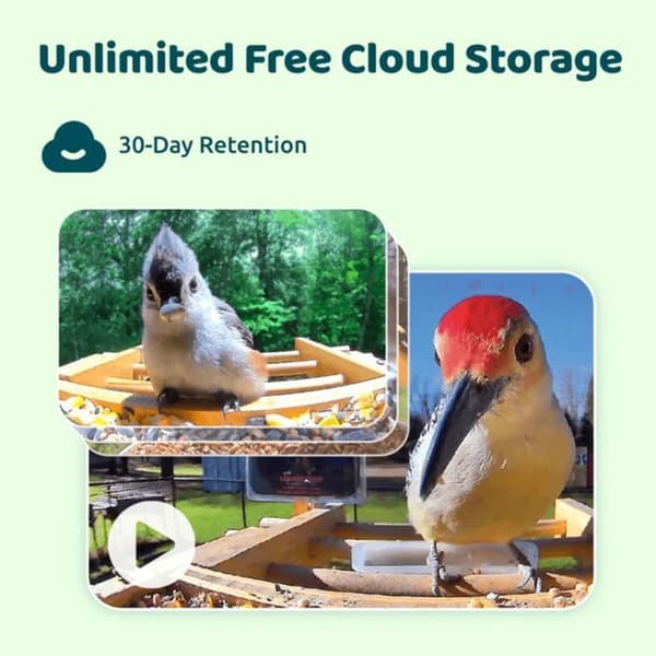 Fuglefoderstation - Birdfy Bamboo - HD WiFi Kamera - Solenergi - AI Artsgenkendelse