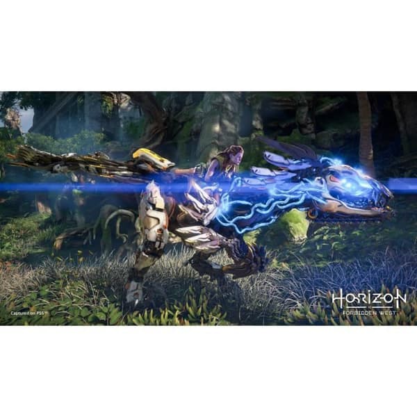 Horizon Forbidden West PS4-spil