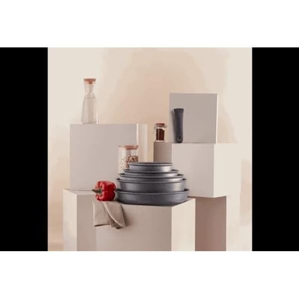 TEFAL Gryde Ø20 cm Ingenio Natural Force