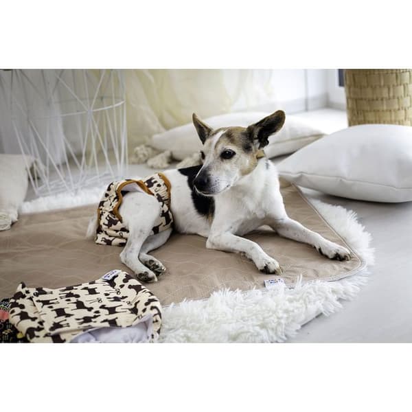 GaGa's absorbent pad för hundar brun L