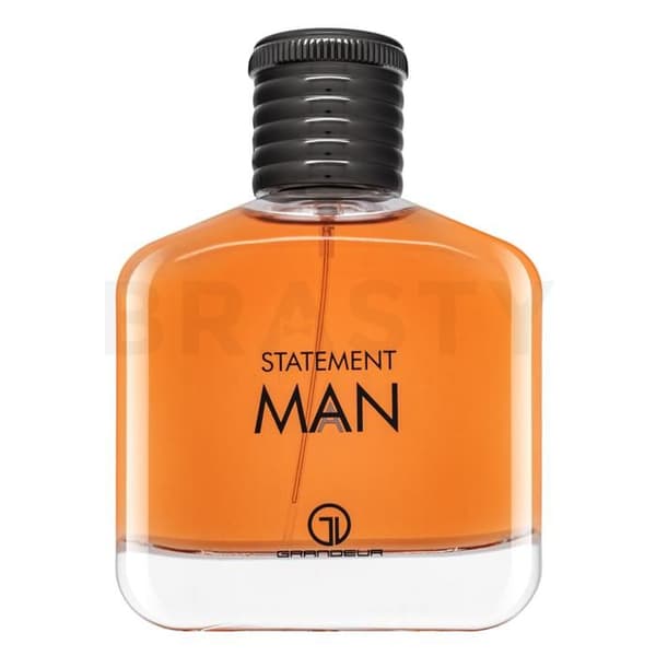 Grandeur Statement Mand eau de parfum mand 100 ml
