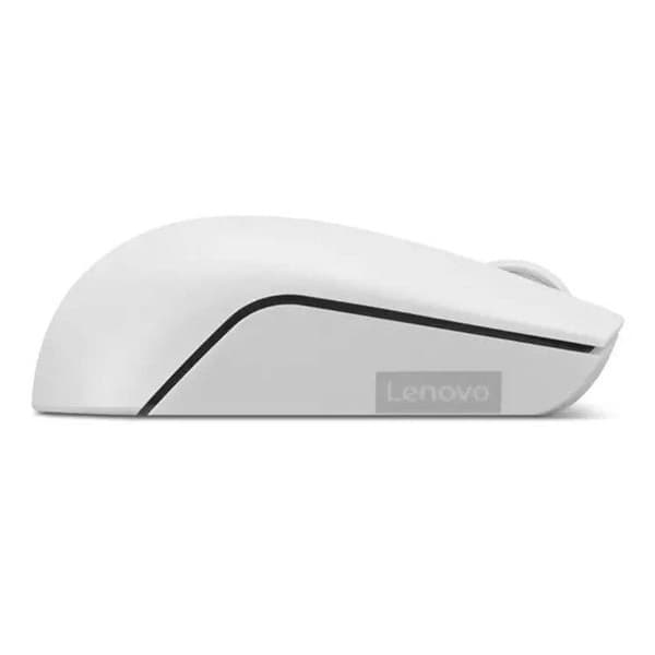 Lenovo Compact Wireless Mouse 300 | Molngrå