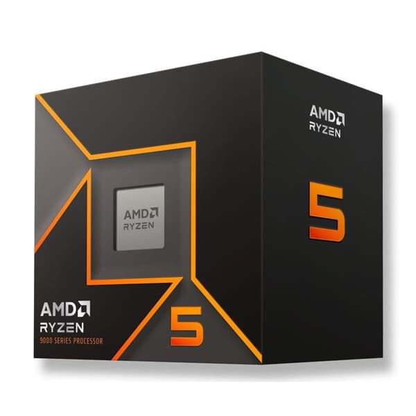AMD Ryzen 5 9600