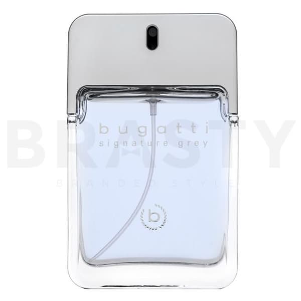 Bugatti Signature Grey eau de toilette til mænd 100 ml