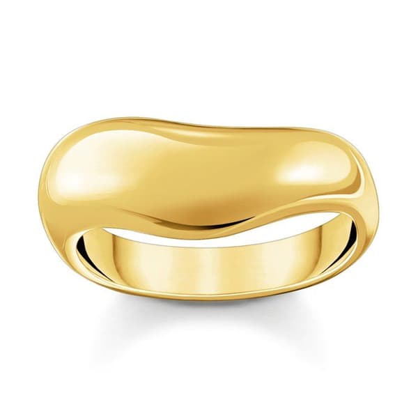 Ring Dam TR2473-413-39-54, 54/17,2