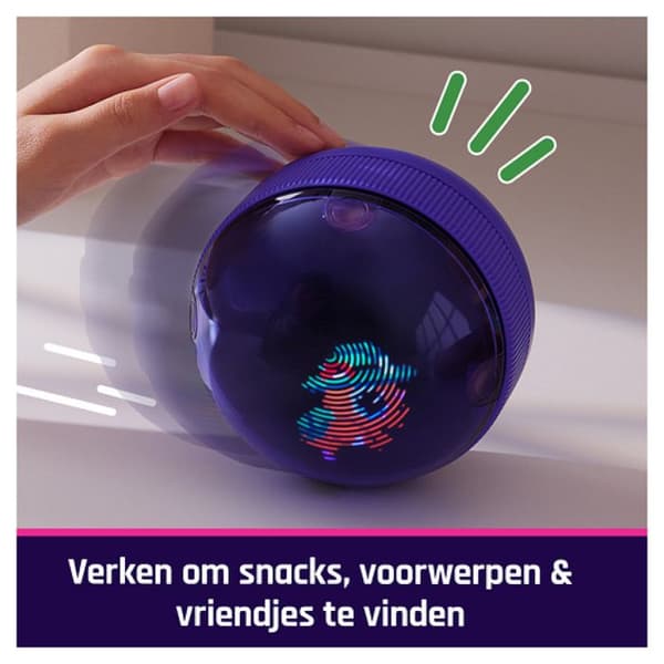 Bitzee Boule Hamster Mitt Interaktiva Djur