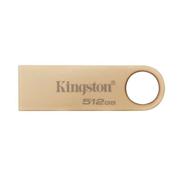 KINGSTON 512Go 220Mo/s Metall U