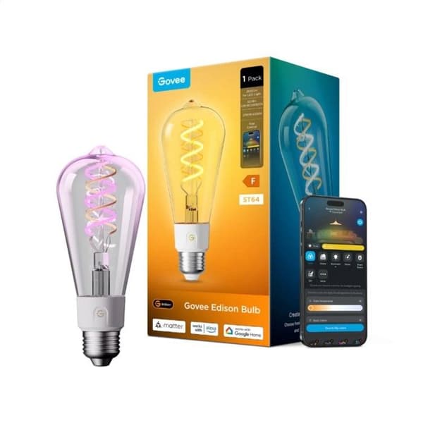 GOVEE SMART EDISON LAMPOR E27 G80