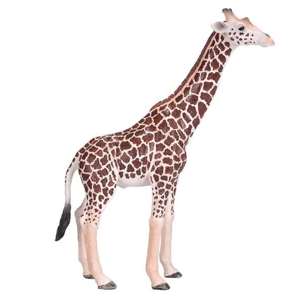 Figurin - MOJO - Manlig giraff - Plast - Medium - Inomhus