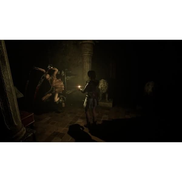 Tormented Souls Nintendo SWITCH (Downloadkode) (kode i boksen)