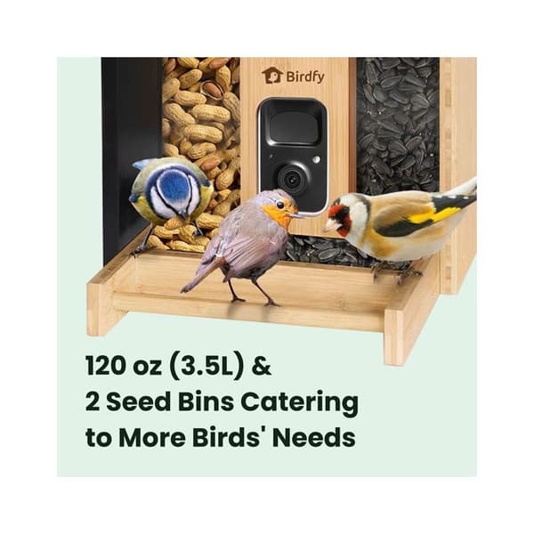 Foderbambus AI Med Solenergi Birdfy