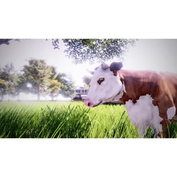 Real Farm - Premium Edition Game Switch