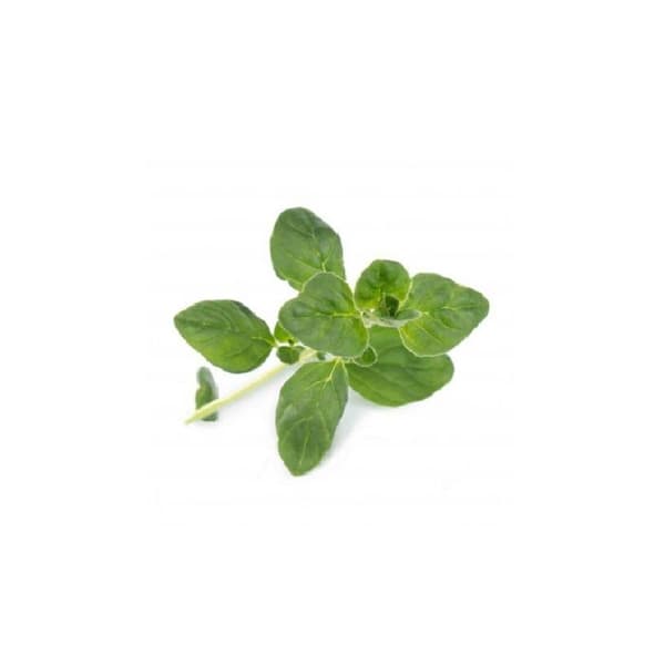 Oregano klump - Ægte