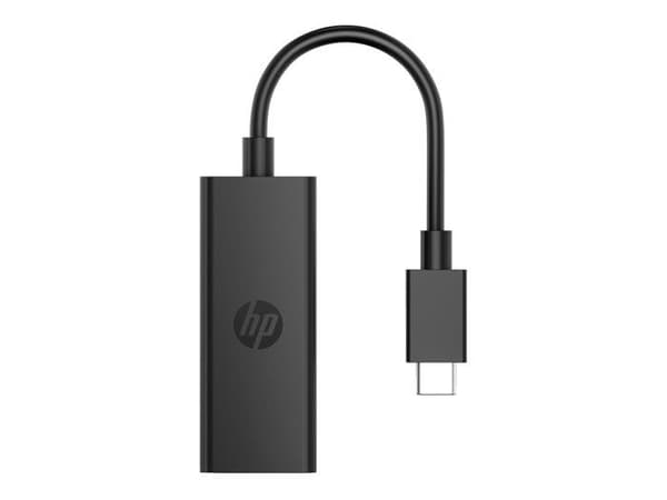 HP G2 - videoadapter - 24"