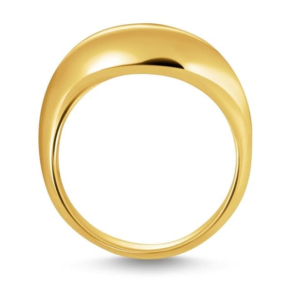 Ring Dam TR2473-413-39-54, 54/17,2